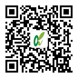 龙8-long8(国际)唯一官方网站